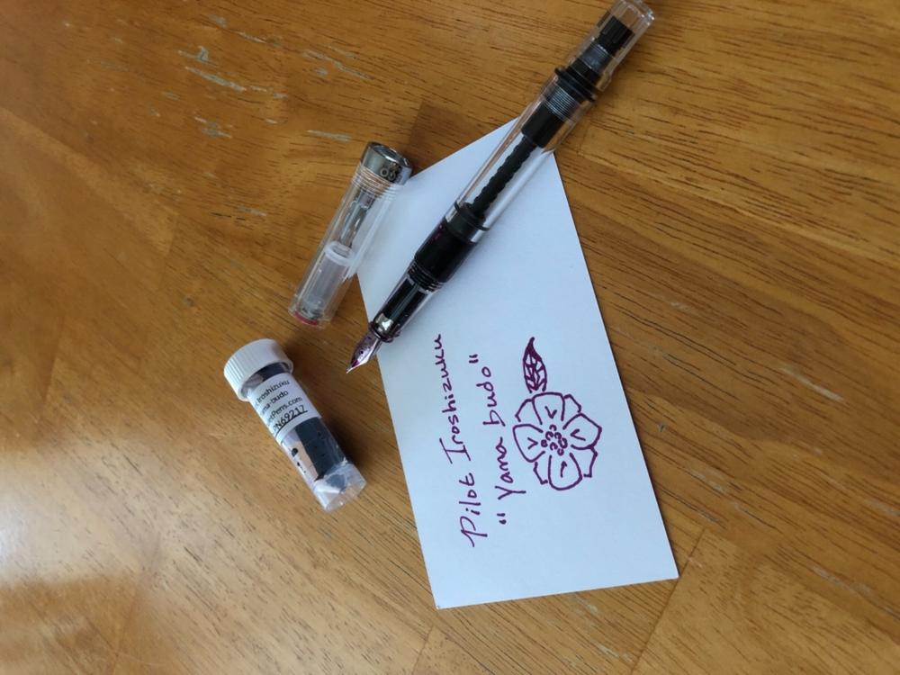 Pilot Iroshizuku Best Sellers Ink Sample Set