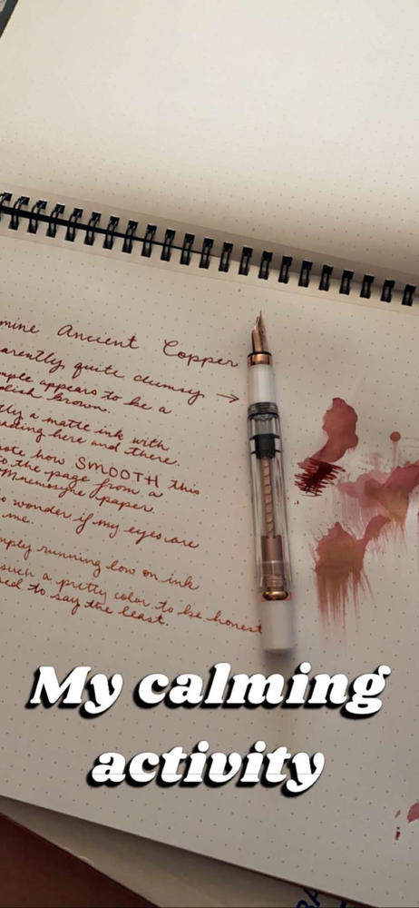 TWSBI Diamond 580 White RoseGold II Fountain Pen