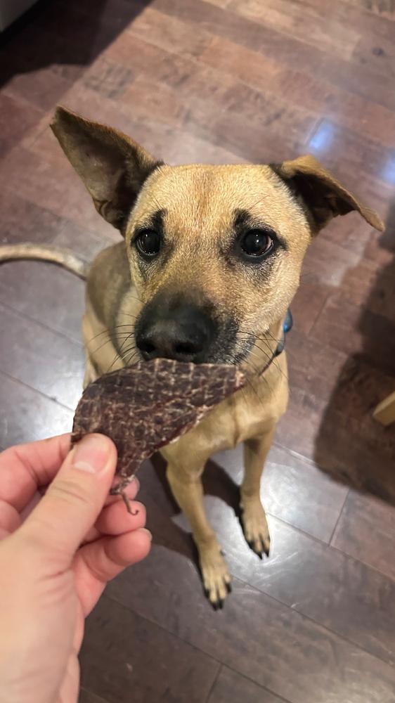 Kangaroo Jerky 56g - Customer Photo From Gia-un Liang