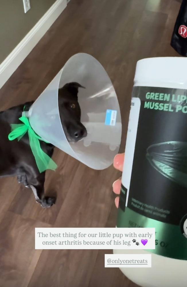 Green Lipped Mussel Powder 500g - Customer Photo From Megan Shallow