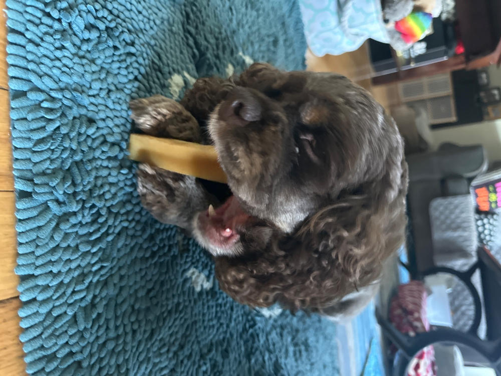 Medium Himalayan Yak Snak - Customer Photo From Rita findlay
