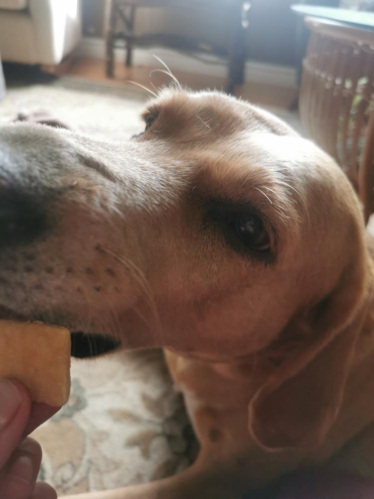 Canadian Beef Liver Training Treats 680g - Customer Photo From Jessica W.