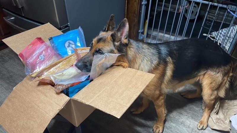 Soft Natural Peanut Training Treats 680g - Customer Photo From Cassie Hann