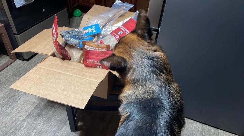 Soft Natural Peanut Training Treats 680g - Customer Photo From Cassie Hann