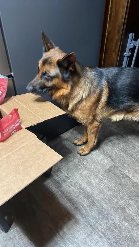 Soft Natural Peanut Training Treats 680g - Customer Photo From Cassie Hann