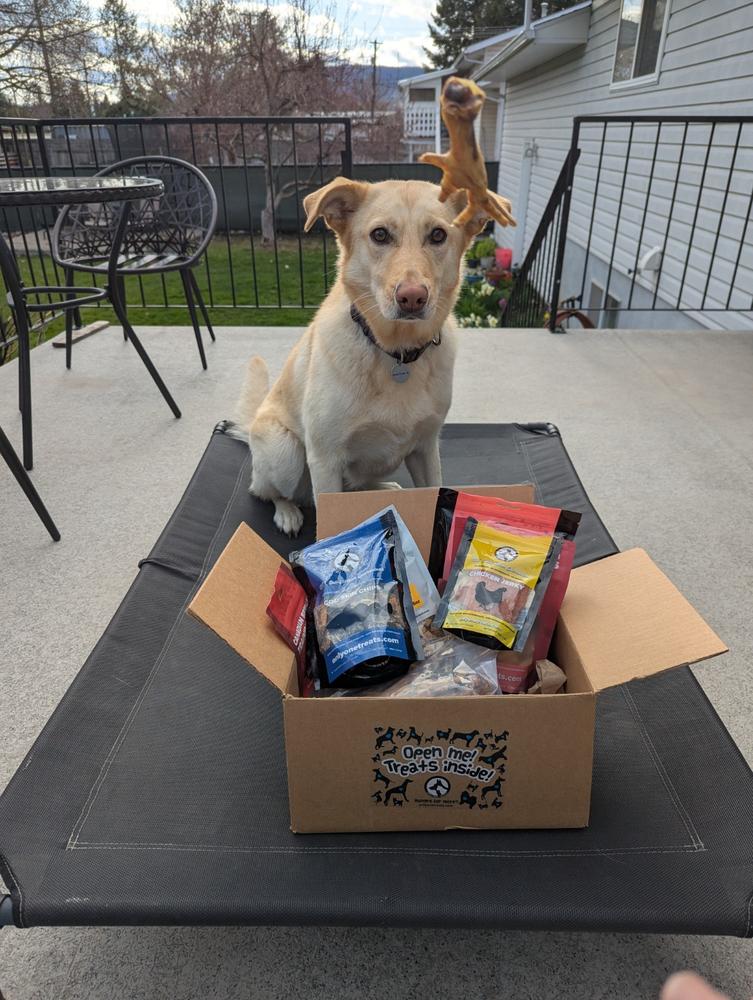 Ultimate Chew Box - Customer Photo From Heidi Stiles