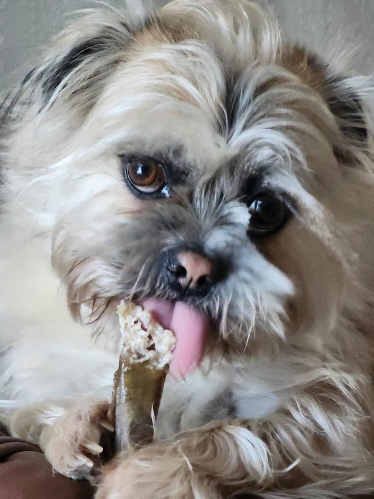 Ultimate Chew Box - Customer Photo From Lynn K.