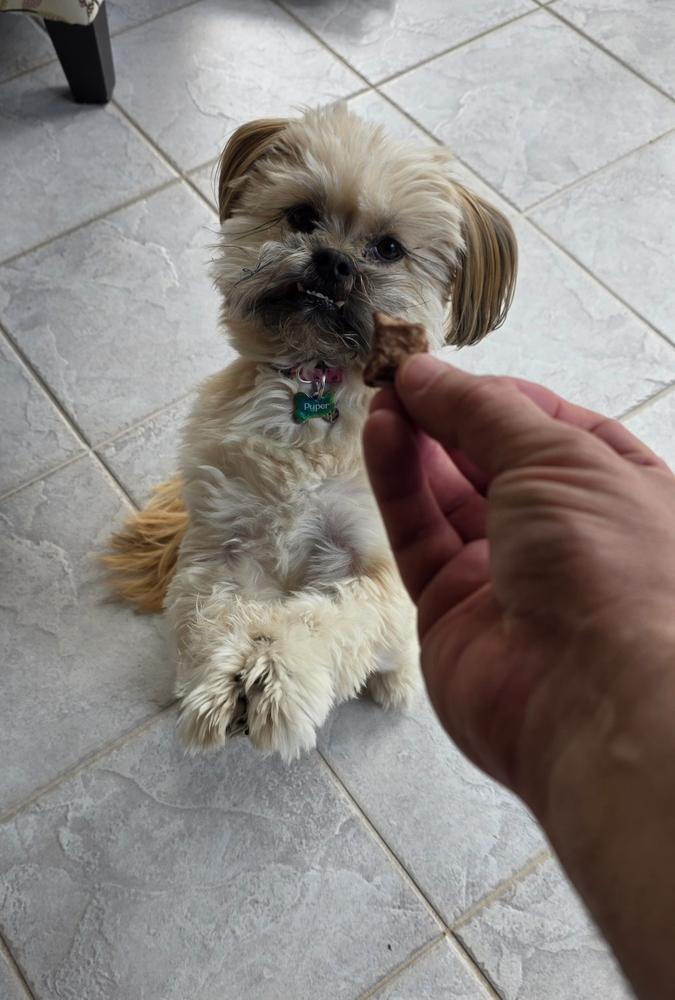 Lamb Lung 70g - Customer Photo From Bradley Williamson