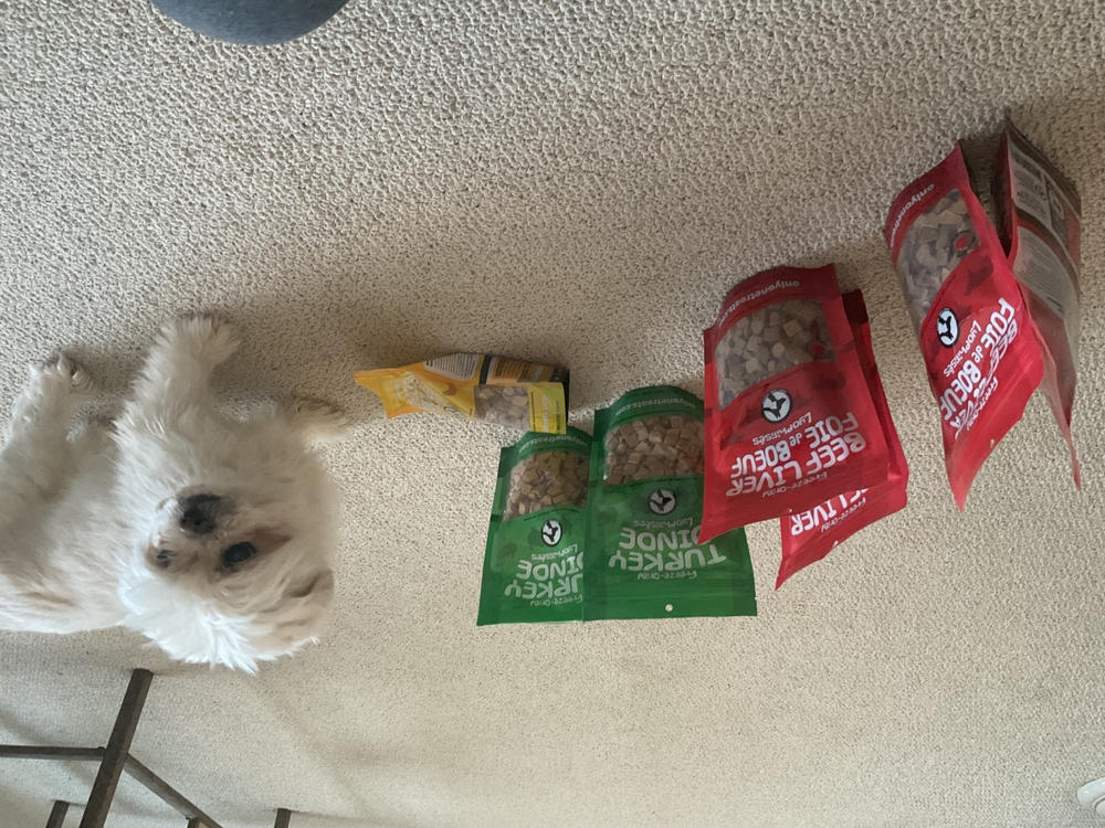 Freeze-Dried Chicken 50g - Customer Photo From Toby Collins