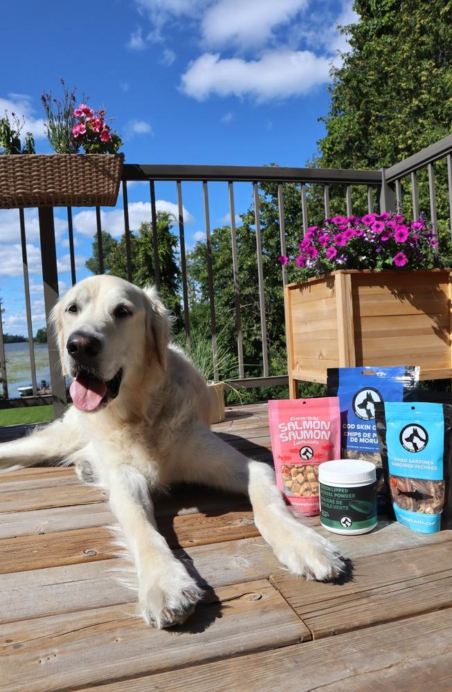 Freeze-Dried Salmon 43g - Customer Photo From natasha castellano