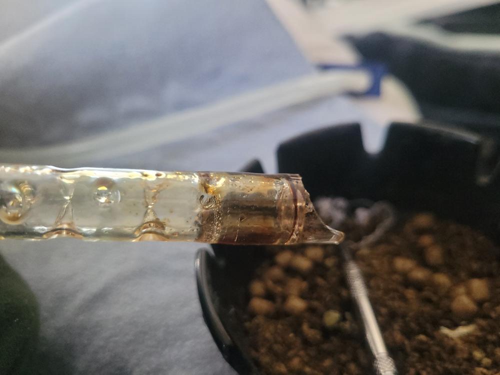 Bent Mouth Cooling Stem for Solo 2, Solo 2 Max , Solo 3 Vaporizer - Customer Photo From Bryan Douglas Mcgee
