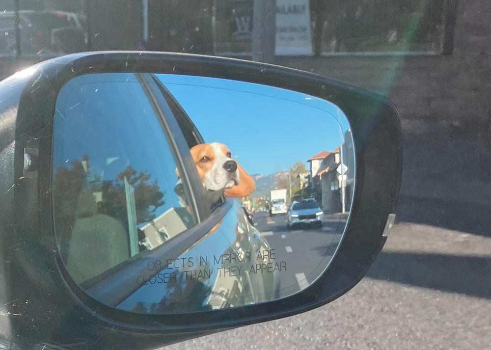 Leather Cleaner Wipes - Customer Photo From Mark Williamson