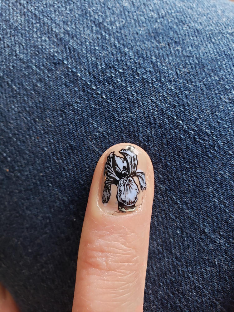 Moth Mosaic Golden Afternoon Nail Stamping Plate | Maniology