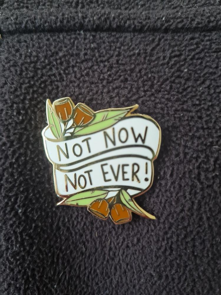 Not Now Not Ever! Lapel Pin - Customer Photo From Jenenne Stiles