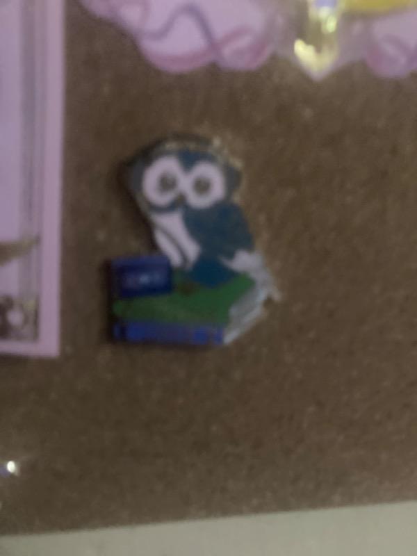 Audiobook Lover Owl Lapel Pin - Customer Photo From Catanna Garcia