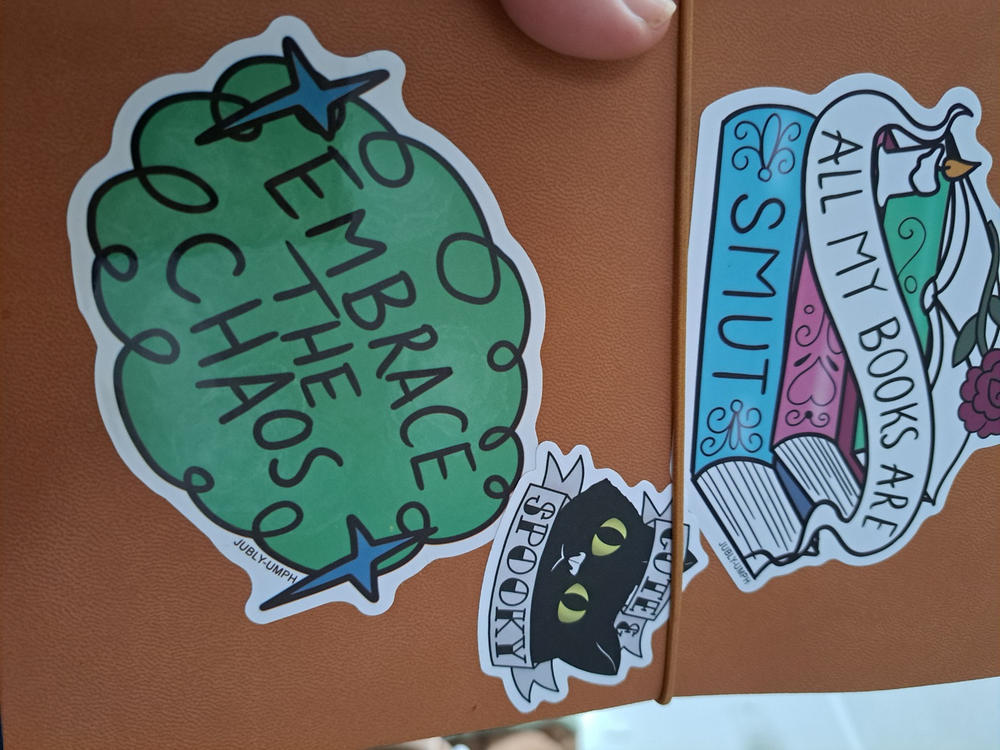 Embrace The Chaos Sticker - Customer Photo From Lee-Anne Cecchini