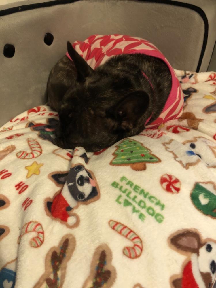 Christmas Cookies - French Bulldog Fleece Blanket - Small - Customer Photo From Alison Randall