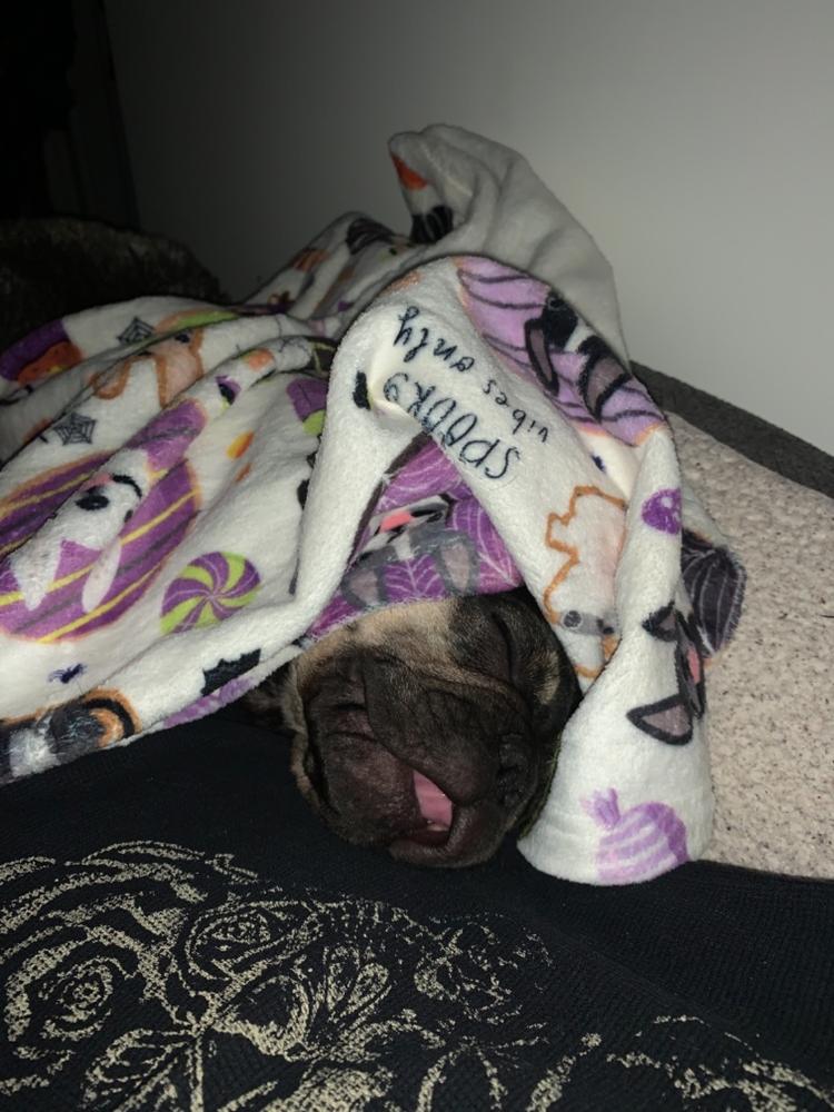 Halloween Treats Fleece Blanket - Customer Photo From Edgar Pinon