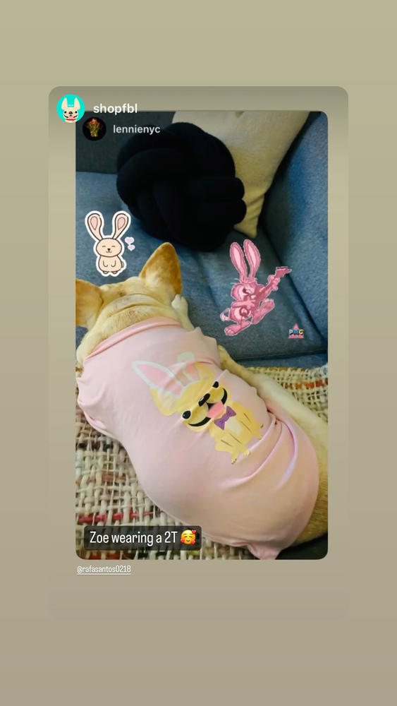 KIDS Frenchie Bunny Easter T-shirt - Customer Photo From RAFAEL SANTOS