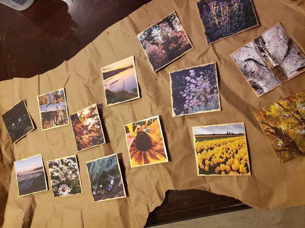 3x3" Borderless Prints FoxPrint