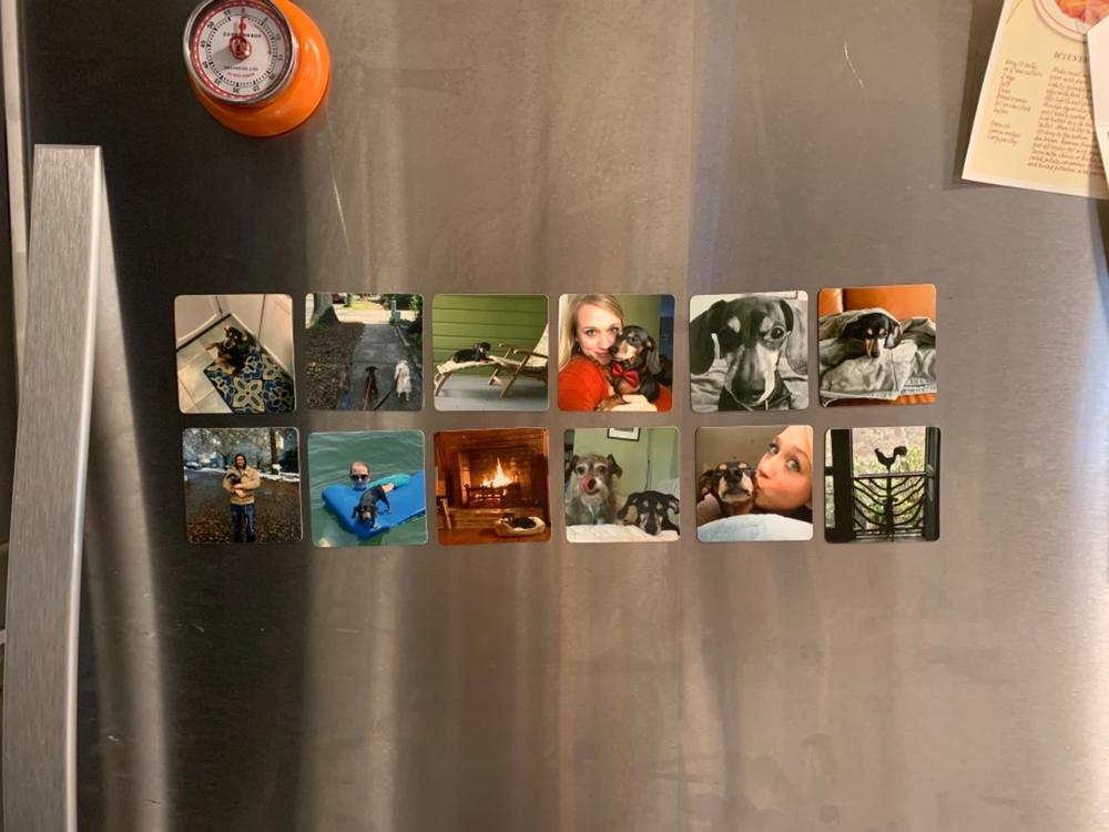 Photo Magnets - Customer Photo From Mandy S.