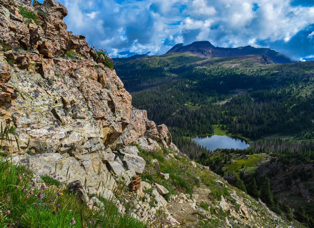 Single Side Hernia Belt - Customer Photo From Gavin Tweedie