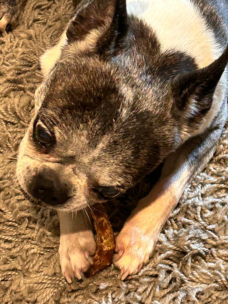 Chicken Necks for Dogs - Customer Photo From Dianna Bolin