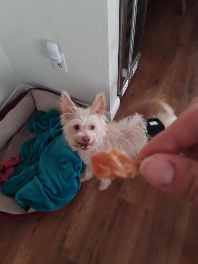 Chicken Jerky Bites for Dogs - Customer Photo From Dianne Phillips