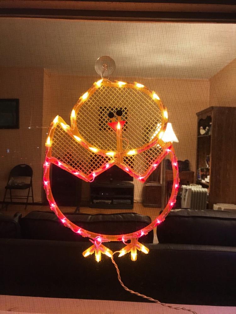Lighted Hatching Baby Chick in Egg Easter Window Silhouette Decoration - Customer Photo From Marion Lauriello
