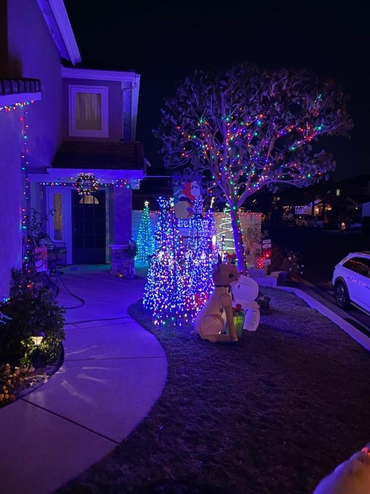 Wire Cone Tree Outdoor Decoration with Multi Twinkling C5 LED Lights - Customer Photo From Lynne Stith