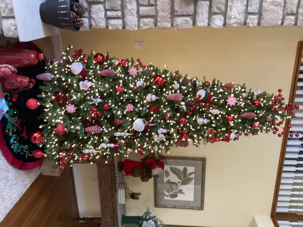 Noble Fir Artificial Christmas Tree with Starry LED Lights - Customer Photo From Anonymous