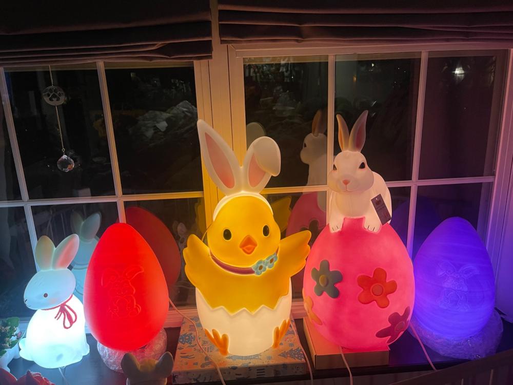14" Blow Mold Easter Egg - Customer Photo From Jessica Schwartz