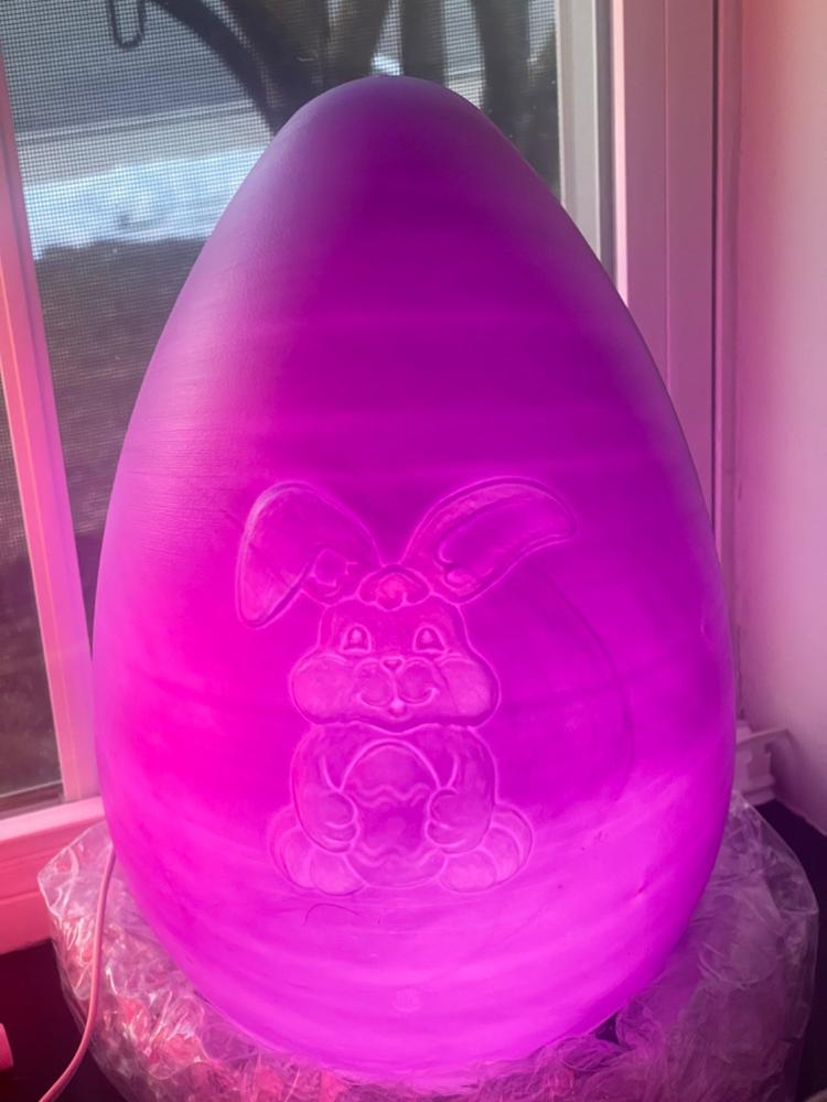 14" Blow Mold Easter Egg - Customer Photo From Jessica Schwartz