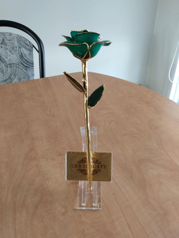 Forever Golden Rose 24K - Customer Photo From Vincent Gosselin