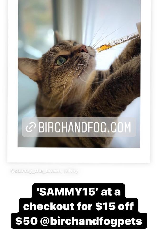 Salmon CBD Pet Tincture for Cats - Natuur - Customer Photo From A