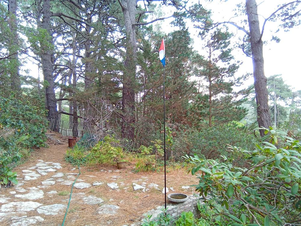 4m Telescopic Flag Pole - Customer Photo From Richard Honor
