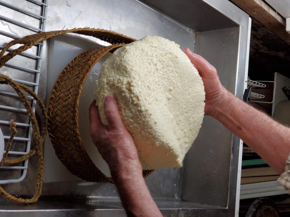 Successful Aging Cheese | Cheese Workshop | Cheese Making