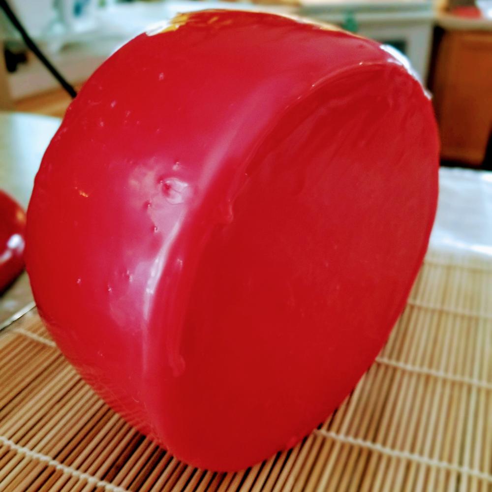 Mesophilic Starter Culture for Cheese Making Cheese Making