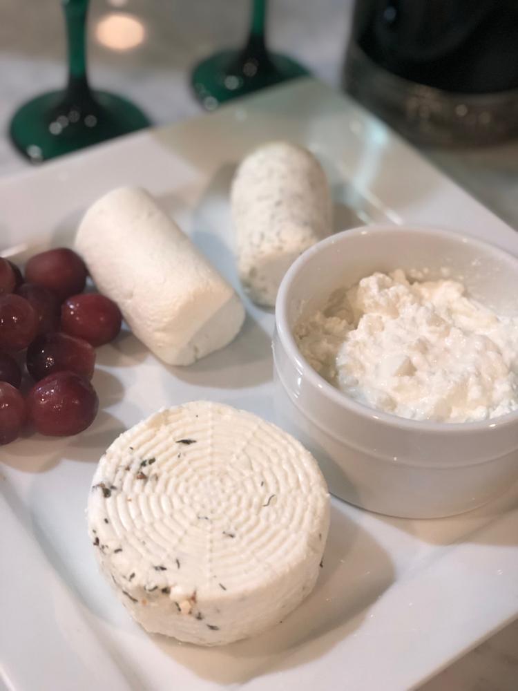 Chevre Starter Culture How to Make Cheese Cheese Making