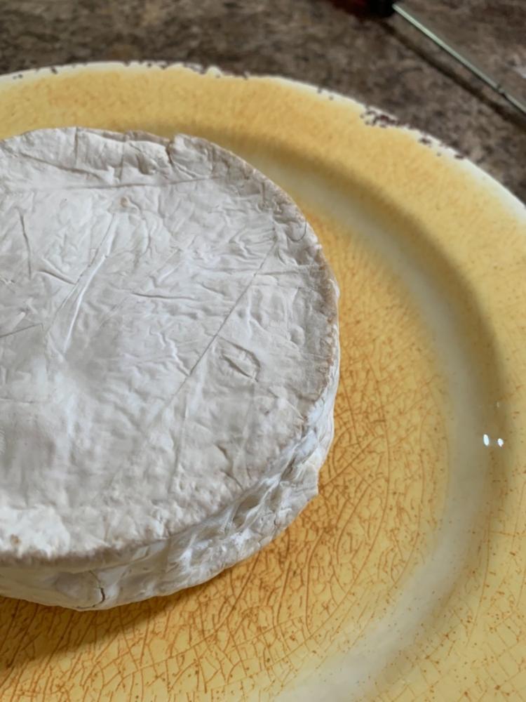 Buttermilk Starter Culture Cheese Culture Cheese Making