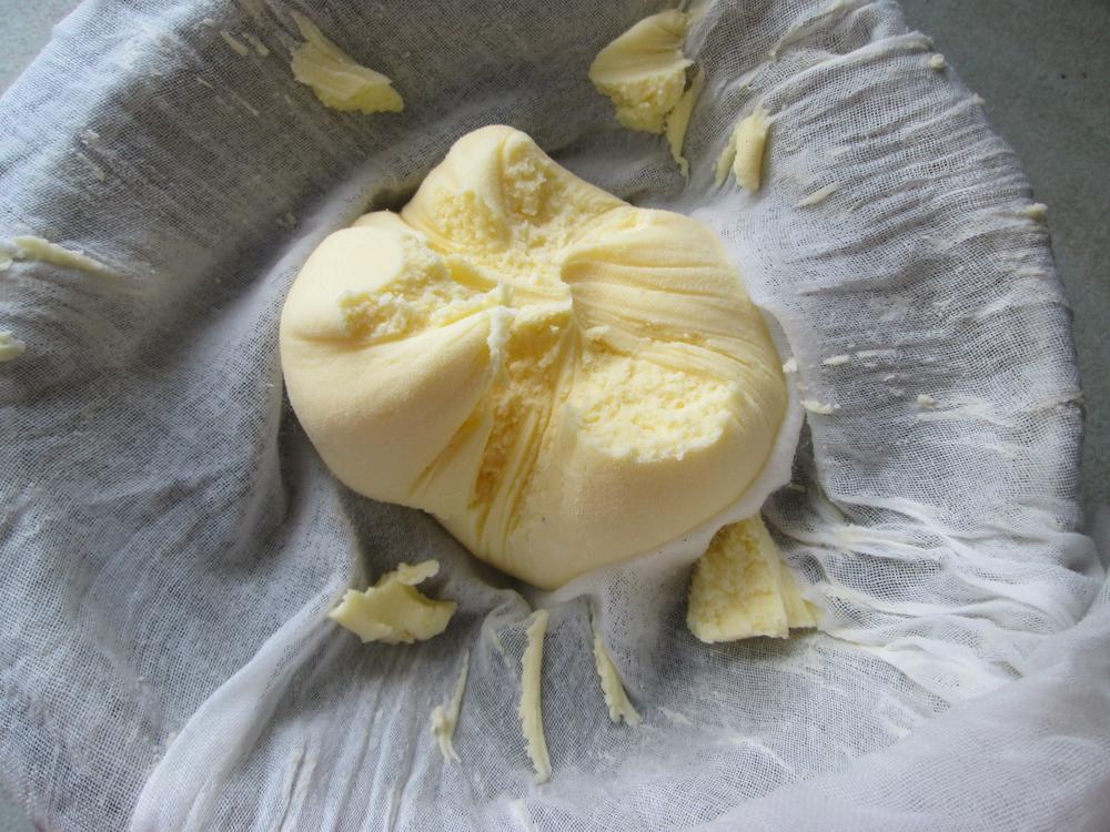 Buttermilk Starter Culture Cheese Culture Cheese Making