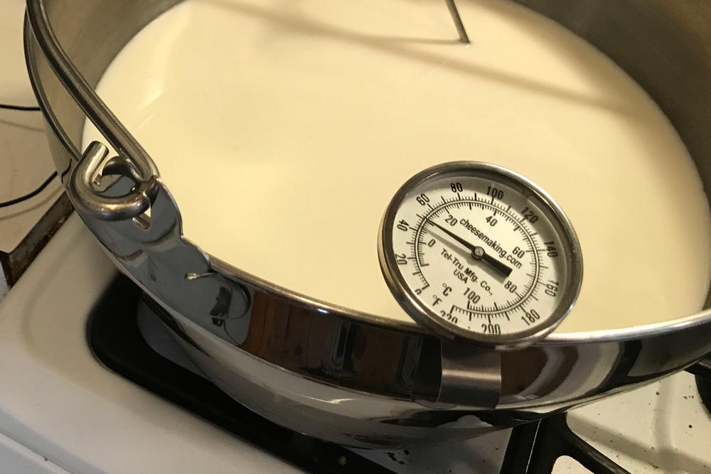 Digital Thermometer For Cheesemaking With ºC And ºF