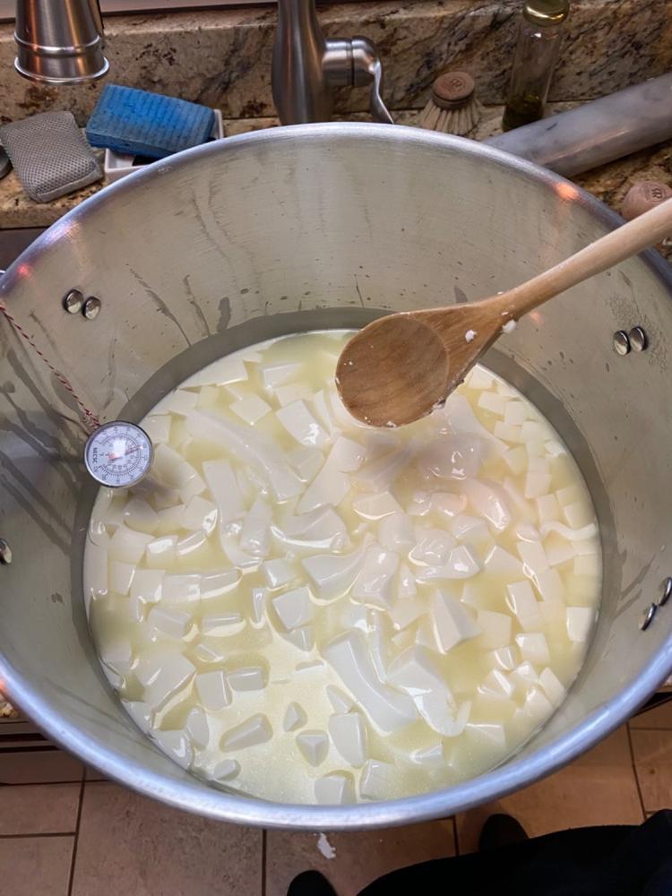 Cheese making starter kit, 19,99 €