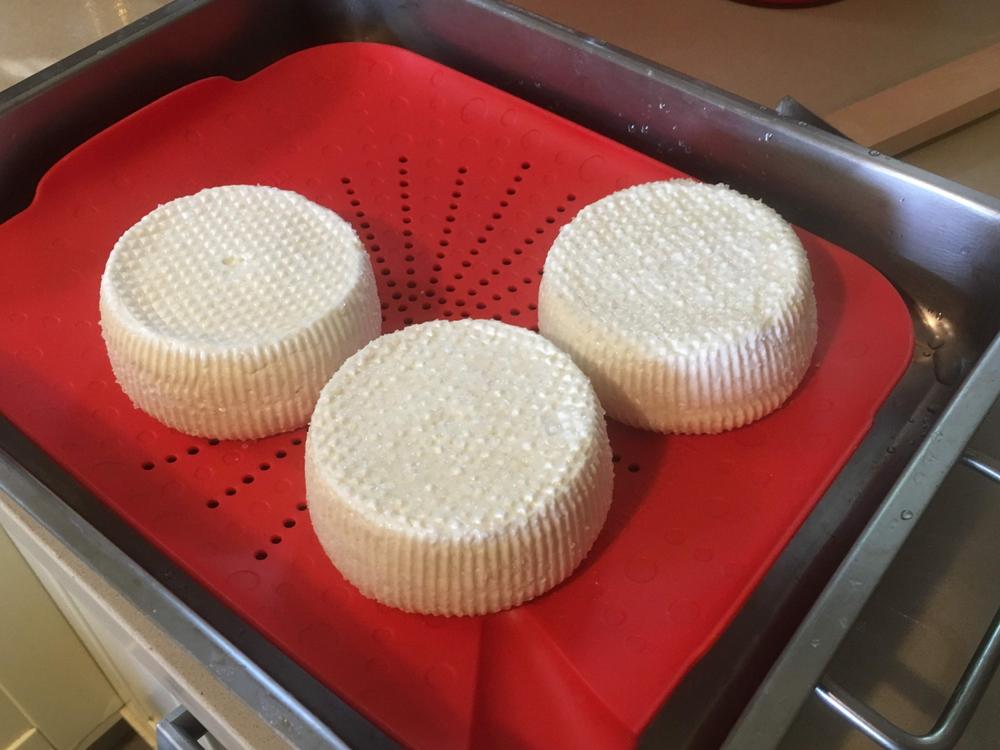 Tablet Organic Animal Rennet by Walcoren | Cheese Making Supply