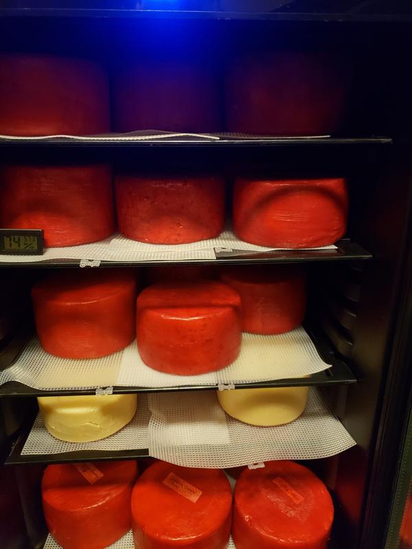 Liquid Animal for Cheese Making Cheese Making Supply