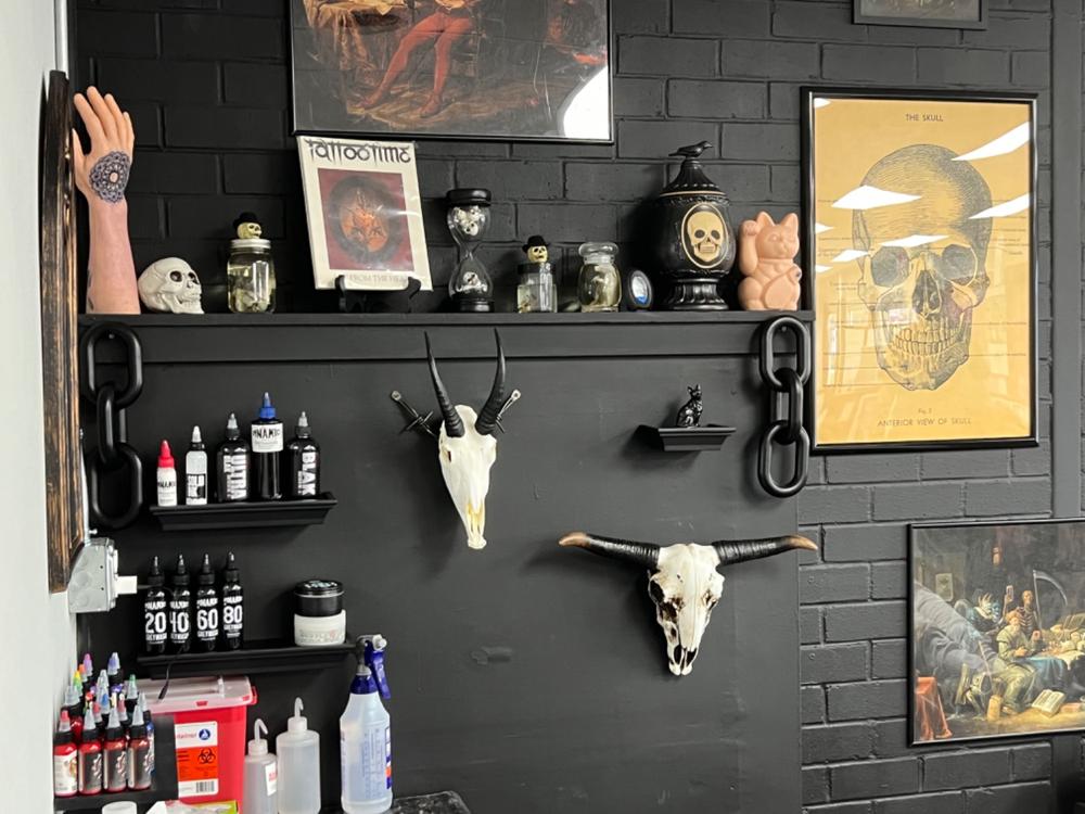 Replica Mountain Goat Skull For Sale — Skulls Unlimited