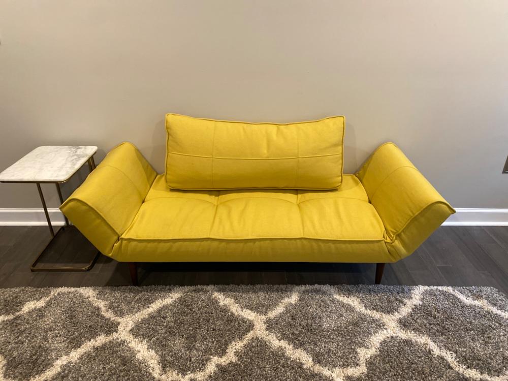 Zeal Deluxe Convertible Twin Size Daybed | Zin Home