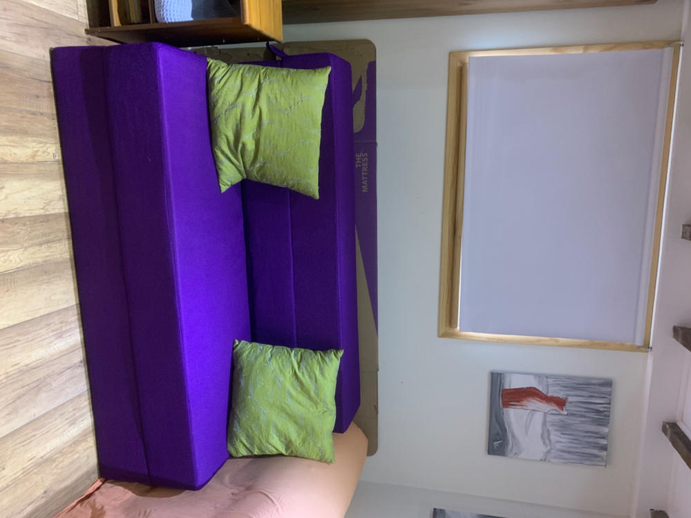 The Polycouch - Customer Photo From Anonymous