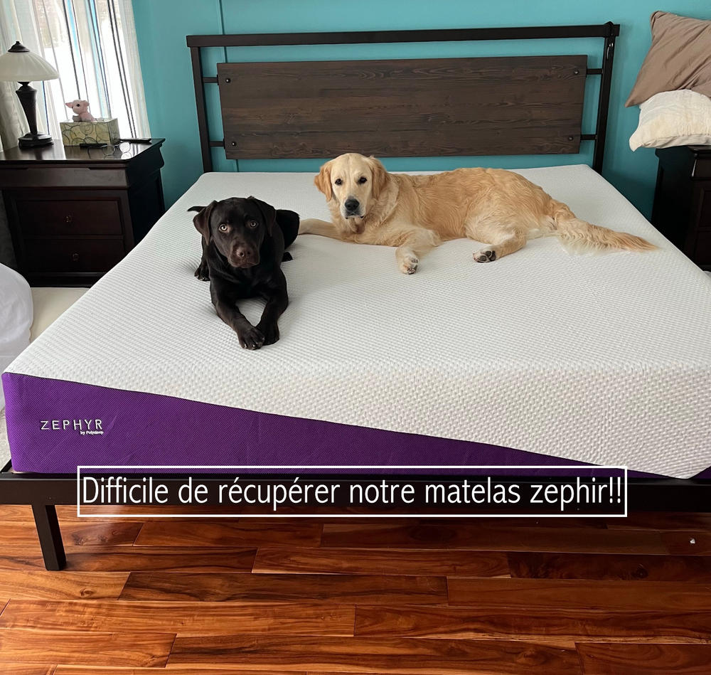 The Zephyr Mattress - Customer Photo From Anonymous