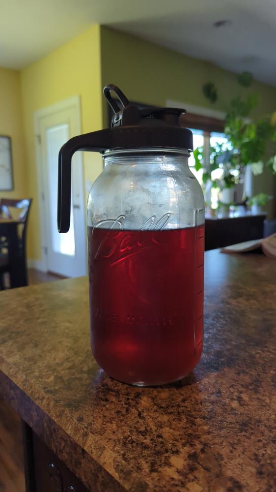 The CHILL - Mason Jar Cold Brewer – Snarky Tea